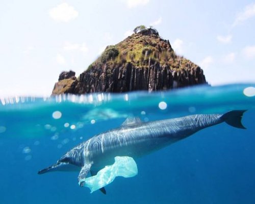 ABB Ability megoldás a világ óceánjaiban felhalmozódó műanyagszemét egyre növekvő problémájának kezelésében